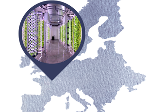 European Supply Sovereignty: Why Cosmetics and Pharma Are Reshoring Botanical Sourcing