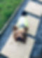 image1.jpeg