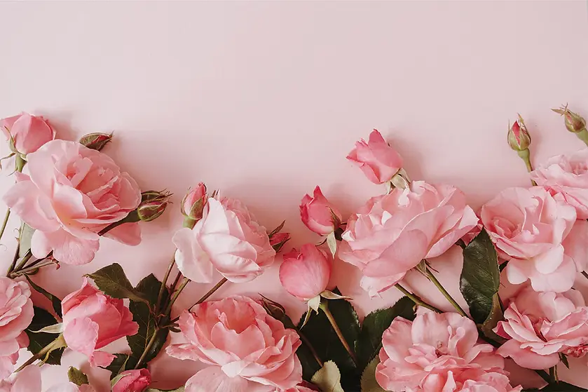pink-collection-stockphotos-7.webp