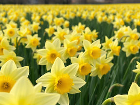 Mothering Sunday: For the Mothers Who Carry Love and Loss