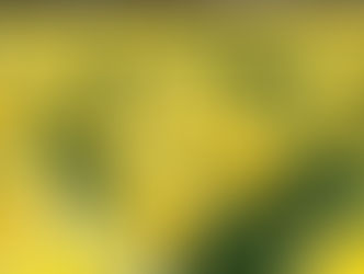 Mothering Sunday: For the Mothers Who Carry Love and Loss