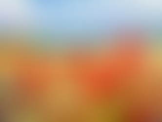 11/11 — A Day of Remembrance and Awakening