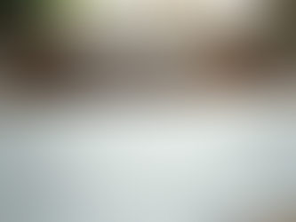 Your Guide to Bathroom Renovation Success: Mastering Bathroom Remodeling Steps