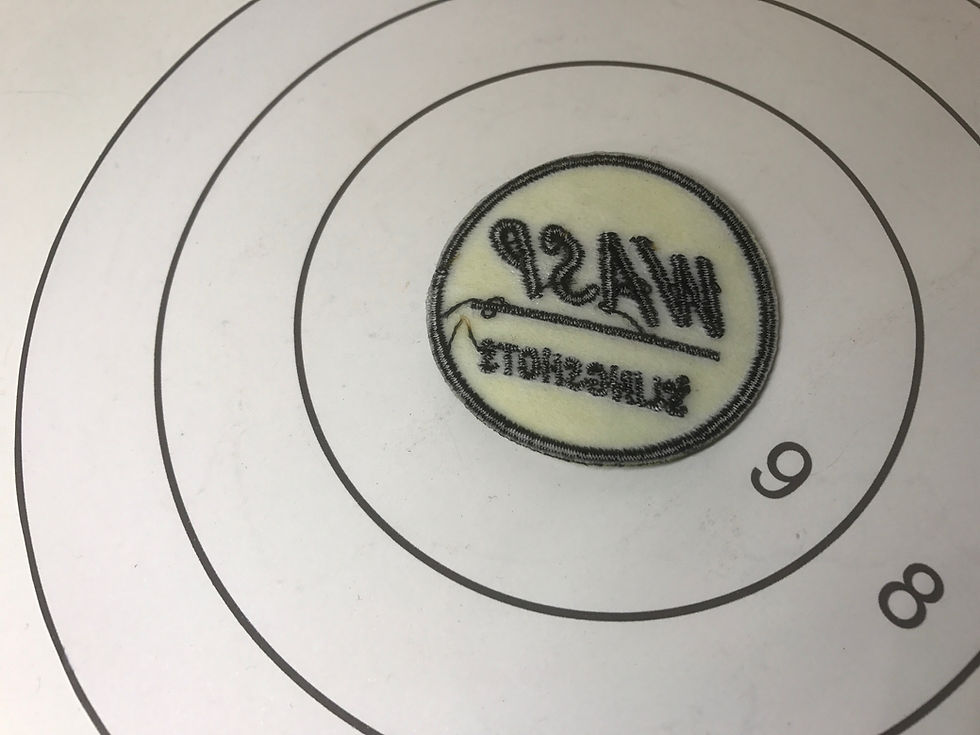 Thumbnail: Wasp Slingshots 50mm Iron on Patch Badge