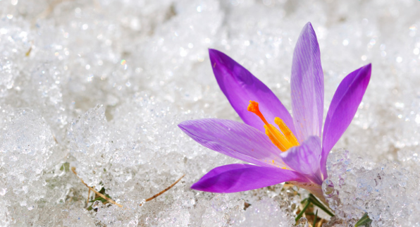 Mother's Love by Alejandro Prieto in Rio Lagartos_Mexico