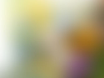 【お供え花】アニマルオプションのついたお花のご紹介です