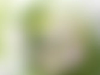 【お供え花】アニマルオプションのついたお花のご紹介です
