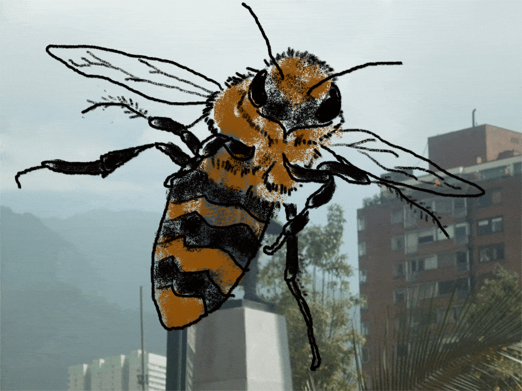Colonización durante la pandemia.gif