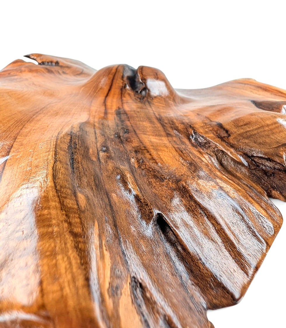 Thumbnail: Big wooden fungus art piece on display.