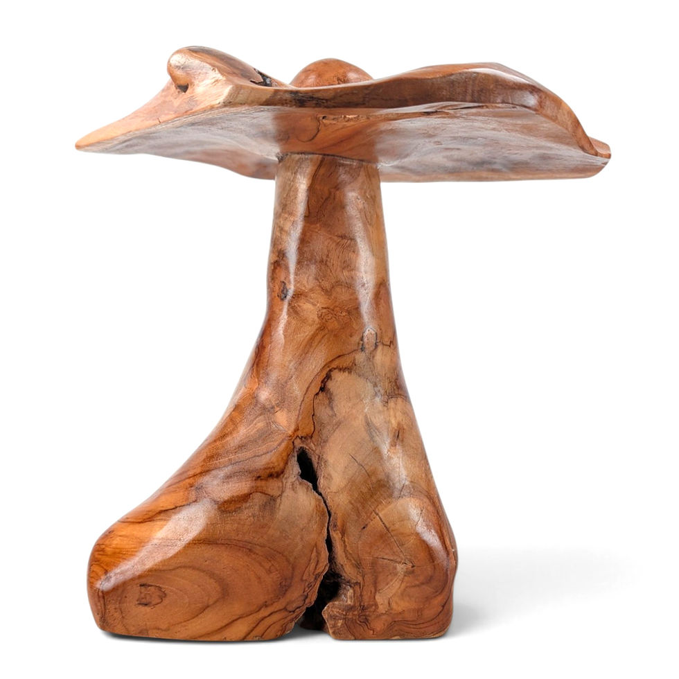 Thumbnail: Big wooden fungus art piece on display.