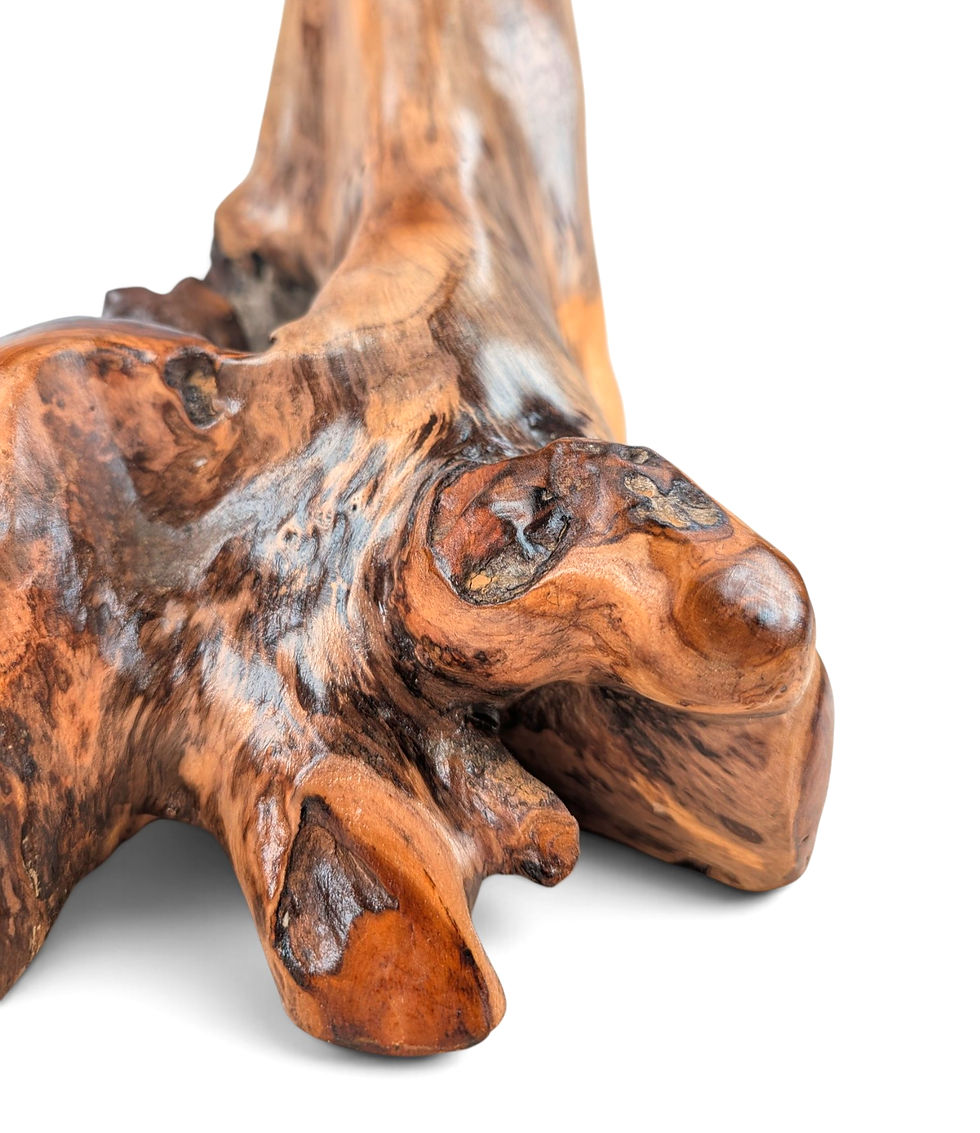 Thumbnail: Natural teak root mushroom statue.