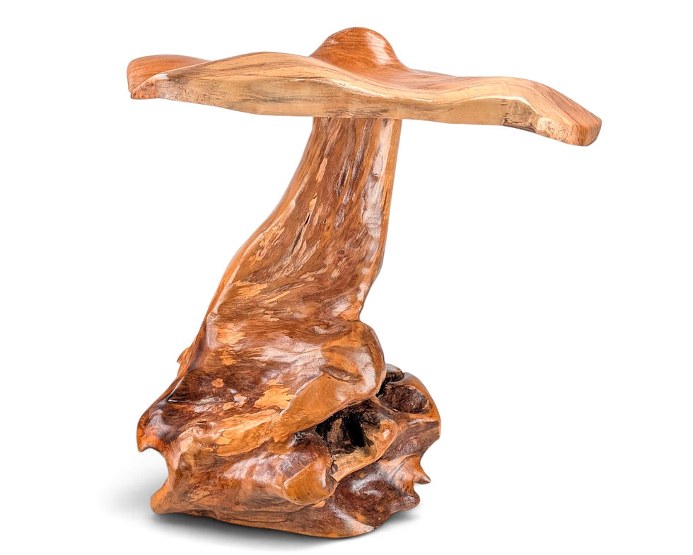 Thumbnail: Big wooden fungus art piece on display.