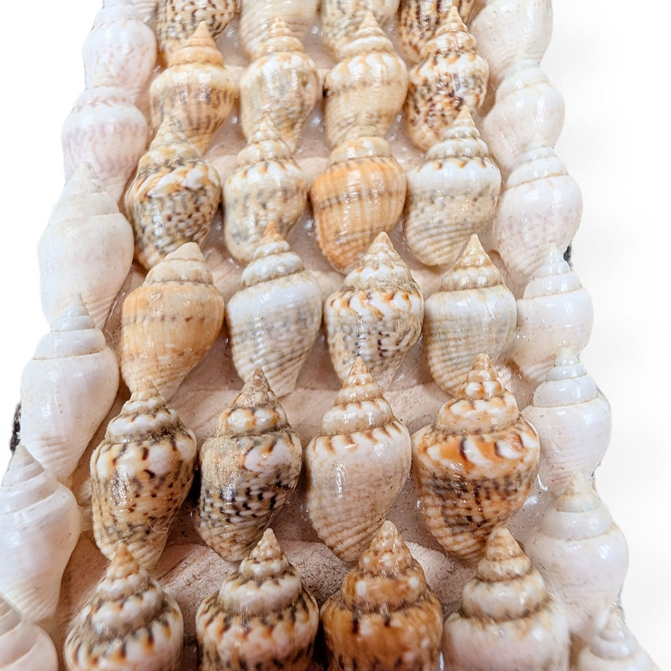 Thumbnail: Textured coastal palm wall hanging made from cowrie shells