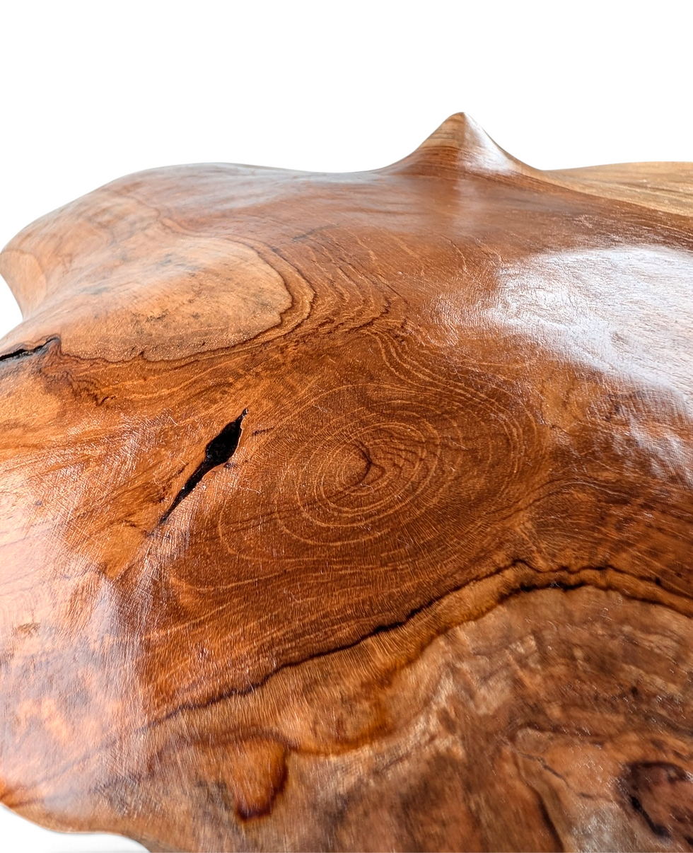 Thumbnail: Tall hand-carved teak root mushroom featuring a wide rounded cap and a thick, tapered stem.