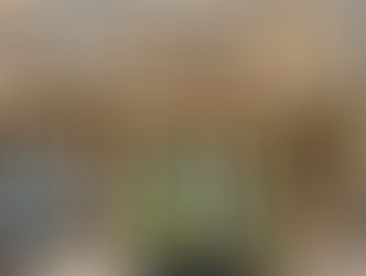 Workers’ Compensation Versus a Lawsuit for Construction Accident Injuries