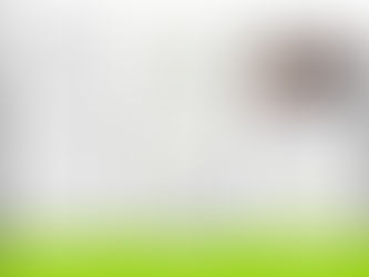 Personal Injury Legal Reference Guide