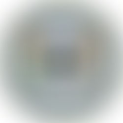 New York State found to be slow to investigate serious complaints involving nursing homes; Leitner V