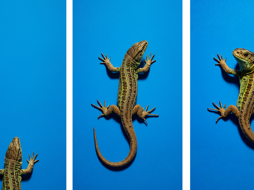 Artificial Intelligence - Visie