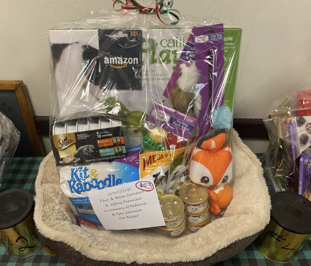 #43 Cat Care 'Basket'