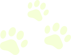 d3b15a1bc7b2f1d06a9dbf7433da7788f2165bf0_edited.png
