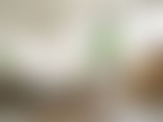 Organized and packed home in scottsdale ready for unpacking