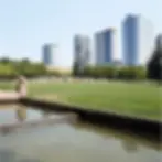 Bellevue Washington Skyline.webp