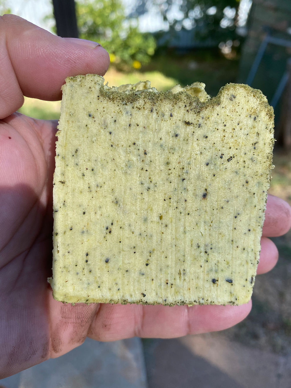 Emu bush infused soap