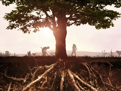 Reversing Climate Change through Regenerative Agriculture