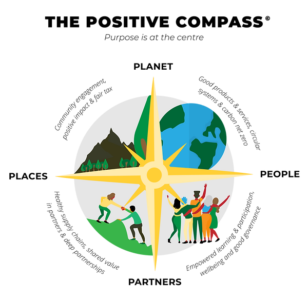 Illustration_Positive Compass_Draft5 (1)