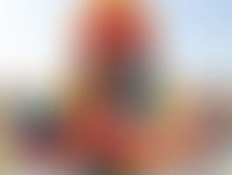 farm slide half moon bay