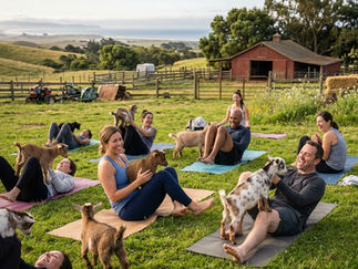 Goat Yoga Near San Francisco: What to Expect at Lemos Farm