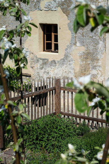 Kräutergarten mit historischer Hausfassade im Hintergrund