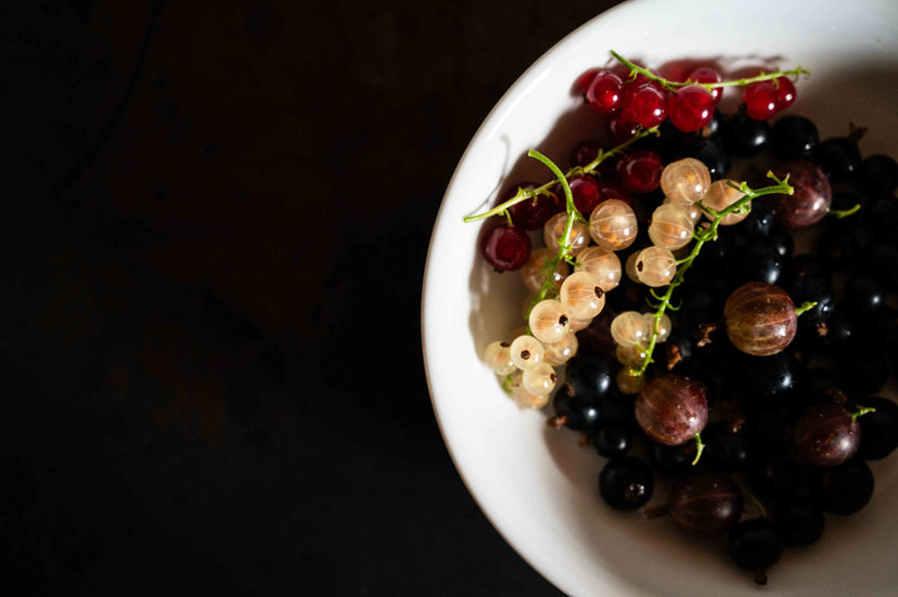 frische Johannisbeeren aus dem Garten des Ferienhauses