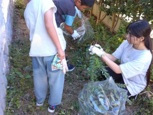 家庭菜園に向けて庭のお手入れをしました!