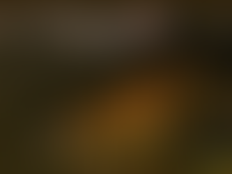 Why Jungle Resorts Make the Ideal Getaway for Adventure Enthusiasts? 