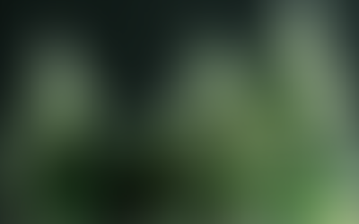 US Legal Cannabis Market Anticipated to Surge by 14% in 2023