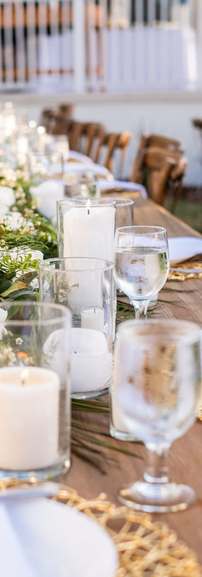 Ellie_and_Rory_Backyard_Wedding_St._Petersburg_Wedding_Photographer_Tampa-FL00485_websize.