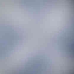 Azujelos, blue and white tiles, Porto, Portugal