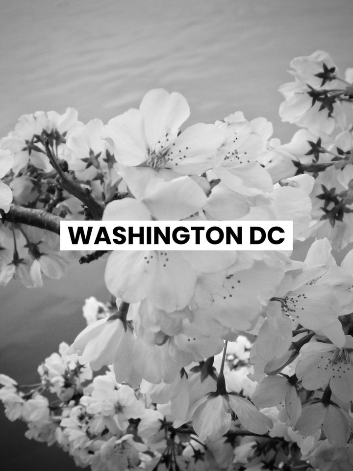 Black and White photography original fine art prints from kpm photo art of Washington DC