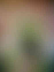 Cytat Cafe in Kazimierz Jewish Quarter, Kraków, Poland |Black and white travel photography | Limited edition wall art prints | Travel blog | © kpm photo art