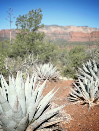 Devil's Bridge Trail Sedona Arizona hiking