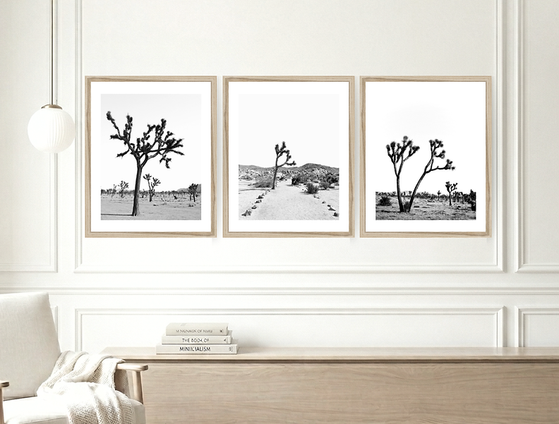 three frames wall art prints of Joshue trees by kpm photo art in a beautifully styled room.
