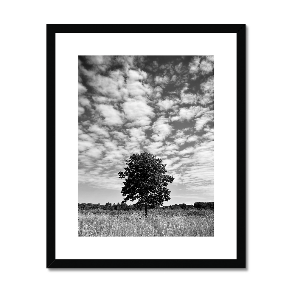Thumbnail: Black and white nature minimalist photo print of lone tree in a field with dramatic clouds