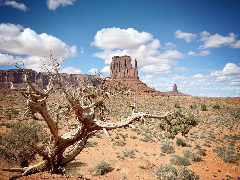 Wild Cat Hiking Trail in Monument Valley Arizona