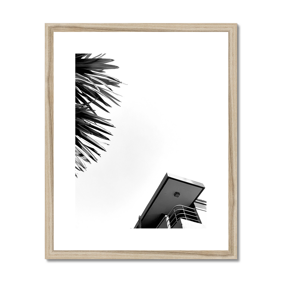 Thumbnail: Black and white photo print of minimalist art deco retro architecture with palm frond