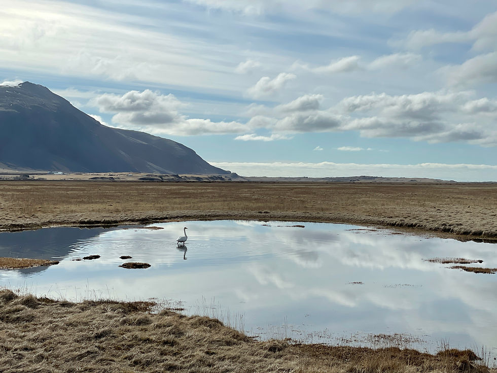 Höfn, Iceland