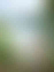 Lake Bled Island, Slovenia kpmphotoart