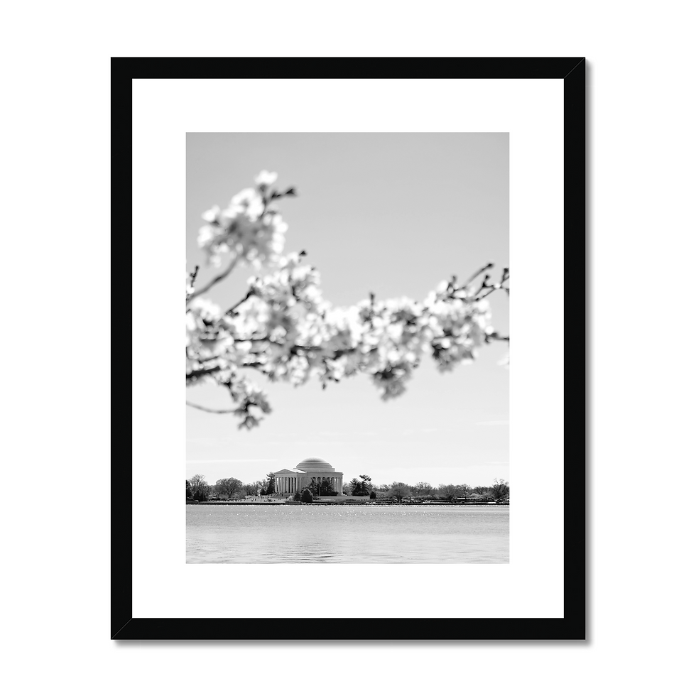 Thumbnail: Black and white photo print of cherry blossoms at the Tidal Basin, Jefferson Memorial, Washington, DC
