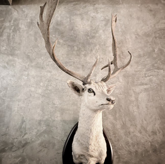 Cantina 32, Porto. Portugal