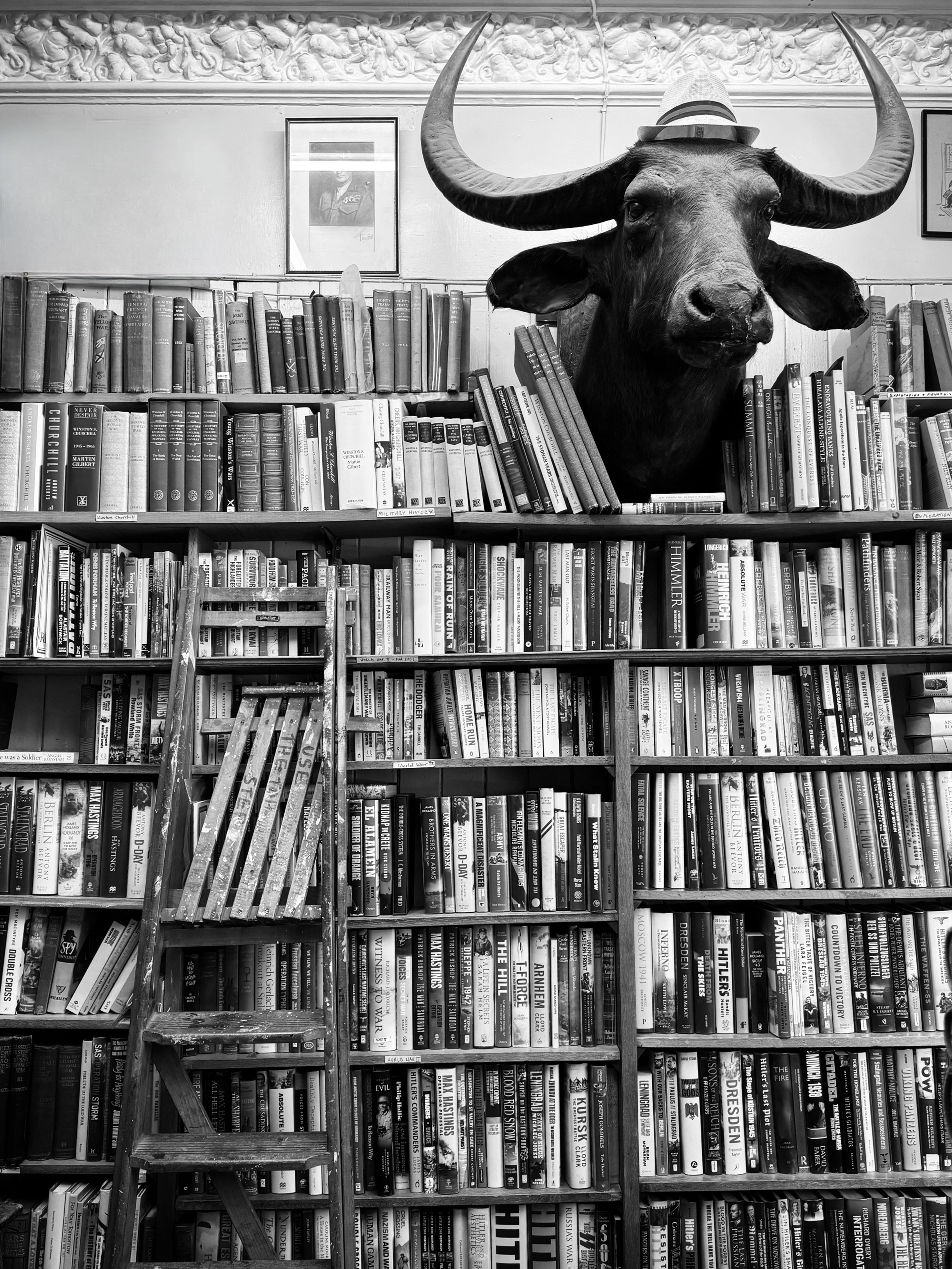 The Bookshop Guardian | Edinburgh Books | Fine Art Print